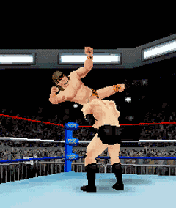 3D WWE Legends of Wrestle Mania